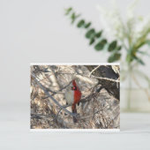 Hermaphadite Kardinals-Vogel Postkarte (Stehend Vorderseite)