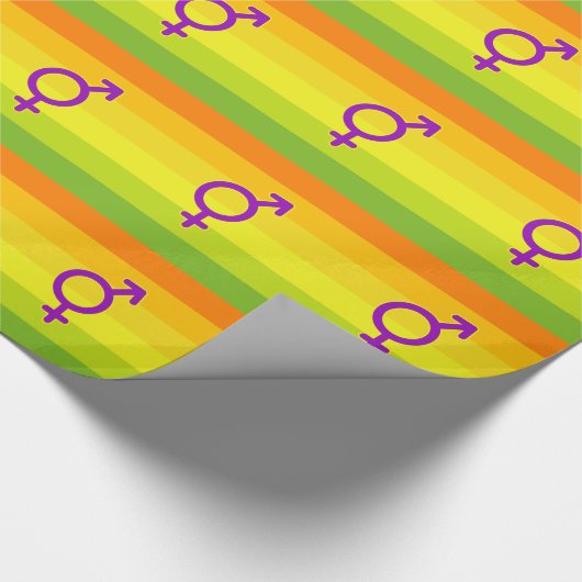 HERMAPHRODITE PRIDE GESCHENKPAPIER (Ecke)