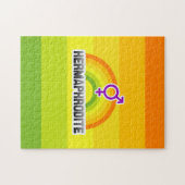 HERMAPHRODITE RAINBOW PUZZLE (Horizontal)
