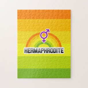 HERMAPHRODITE RAINBOW PUZZLE