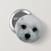 Hermes das maltesische button (Vorne & Hinten)