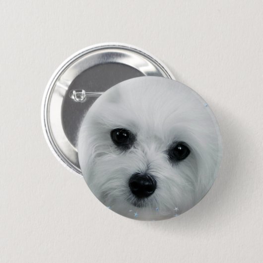 Hermes das maltesische button (Vorne & Hinten)