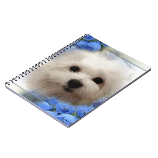 Hermes das maltesische notizblock (Linke Seite)