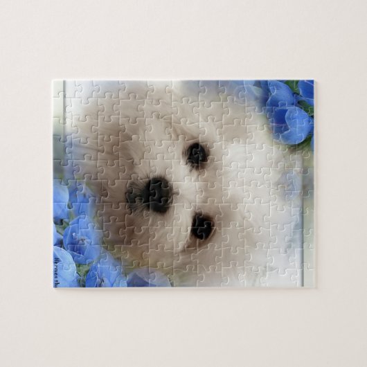 Hermes das maltesische puzzle (Horizontal)