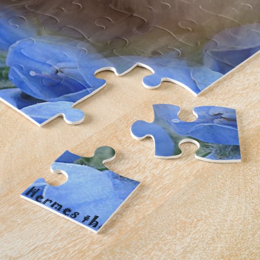 Hermes das maltesische puzzle (Seite)