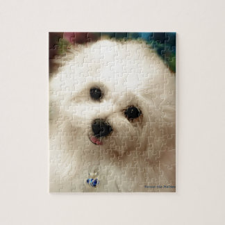 Hermes das maltesische puzzle