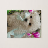 Hermes das maltesische puzzle (Horizontal)