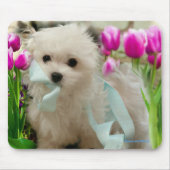 Hermes der Malteser Mousepad (Vorne)