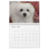 Hermes der maltesische Kalender (Feb 2026)