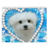 Hermes der maltesische Kalender (Titelbild)