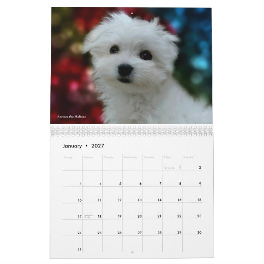 Hermes der maltesische Kalender (Jan 2027)