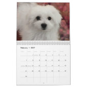 Hermes der maltesische Kalender (Feb 2027)