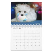 Hermes der maltesische Kalender (Jan 2027)