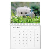 Hermes der maltesische Kalender (Mär 2027)