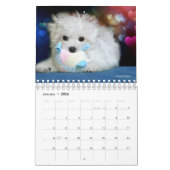 Hermes der maltesische Kalender (Jan 2026)