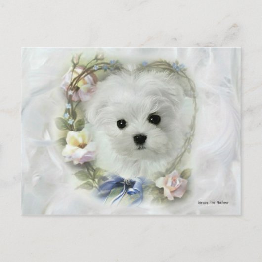 Hermes die Malteser Valentinenkarte Feiertagspostkarte (Vorderseite)