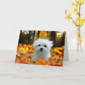 Hermes die maltesische Blanko-Karte Karte (Gelbe Blume)