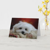 Hermes, die maltesische Blankokarte Karte (Gelbe Blume)