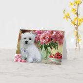 Hermes, die maltesische Geburtstagskarte Karte (Gelbe Blume)