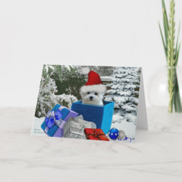 Hermes die maltesische Weihnachtsgruß-Karte Feiertagskarte