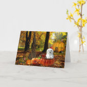 Hermes, Malteser Karte (Gelbe Blume)