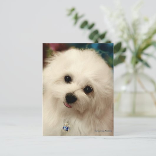 Hermes, Malteser Postkarte (Stehend Vorderseite)