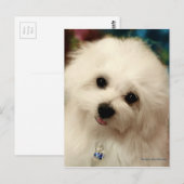 Hermes, Malteser Postkarte (Vorne/Hinten)