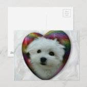 Hermes, Malteser Postkarte (Vorne/Hinten)