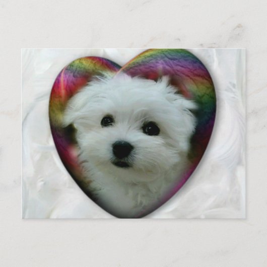 Hermes, Malteser Postkarte (Vorderseite)