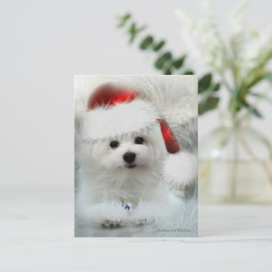 Hermes, Malteser Postkarte (Stehend Vorderseite)