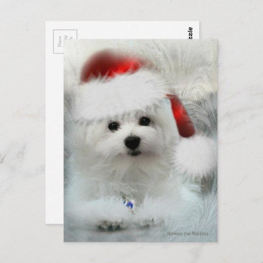 Hermes, Malteser Postkarte (Vorne/Hinten)