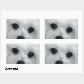 Hermes, Malteser Rechteckiger Aufkleber (Blatt)