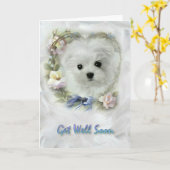 Hermes the Maltese Get Well bald Card Karte (Gelbe Blume)