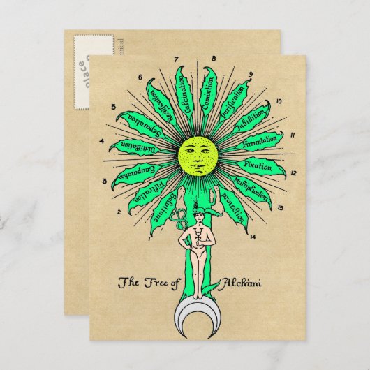 Hermes Tree of Alchemy Mandala Postkarte (Vorne/Hinten)