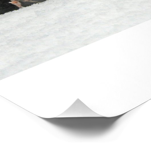 Hermine Blanche Poster (Ecke)