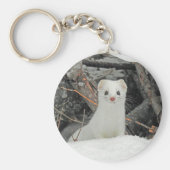Hermine blanche schlüsselanhänger (Vorne)