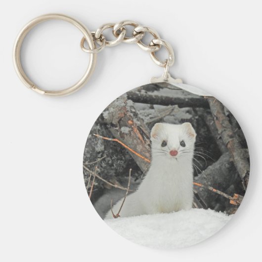 Hermine blanche schlüsselanhänger (Vorne)