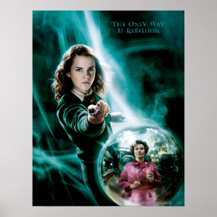 Hermione Granger und Professor Umbridge Poster