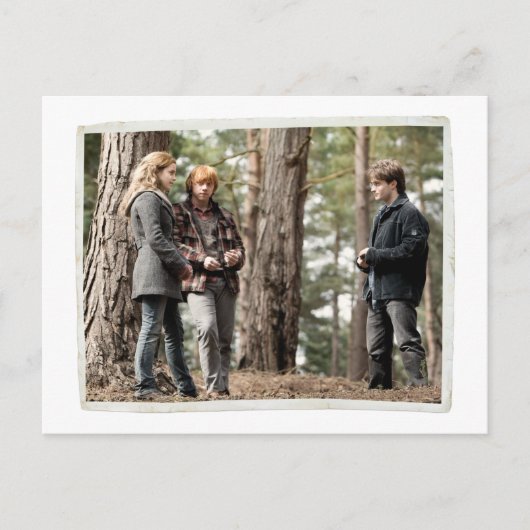 Hermione, Ron und Harry 2 Postkarte (Vorderseite)