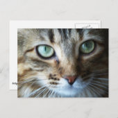 Hermione Up Nah Postkarte (Vorne/Hinten)