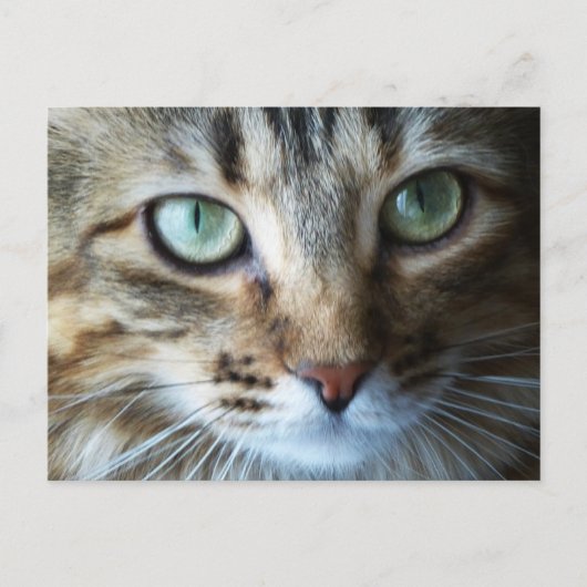 Hermione Up Nah Postkarte (Vorderseite)