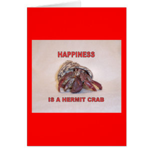 Hermit Crab #14