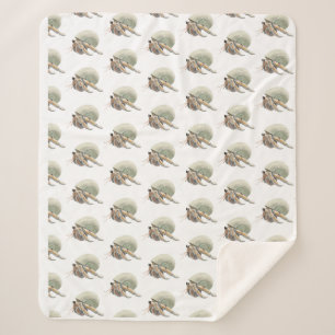 Hermit Crab Blanket Medium Sherpadecke