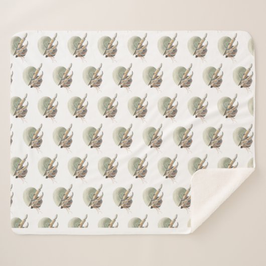 Hermit Crab Blanket Medium Sherpadecke (Vorderseite (Horizontal))
