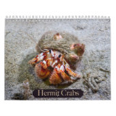 Hermit Crab Calendar Kalender (Titelbild)