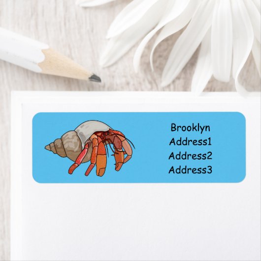 Hermit Crab Cartoon Illustration (Insitu)