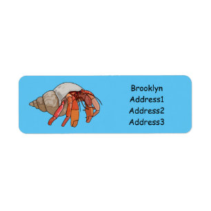 Hermit Crab Cartoon Illustration