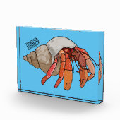 Hermit Crab Cartoon Illustration Fotoblock (Rechts)