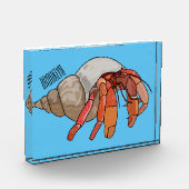Hermit Crab Cartoon Illustration Fotoblock (Links)
