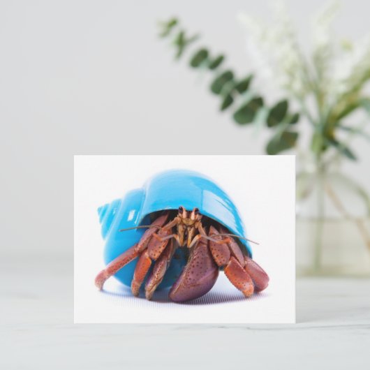Hermit Crab Postcard Postkarte (Stehend Vorderseite)